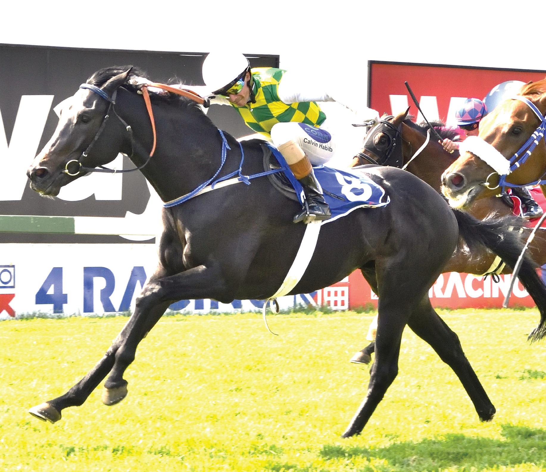 Soma to Kick Off New Season With a Double