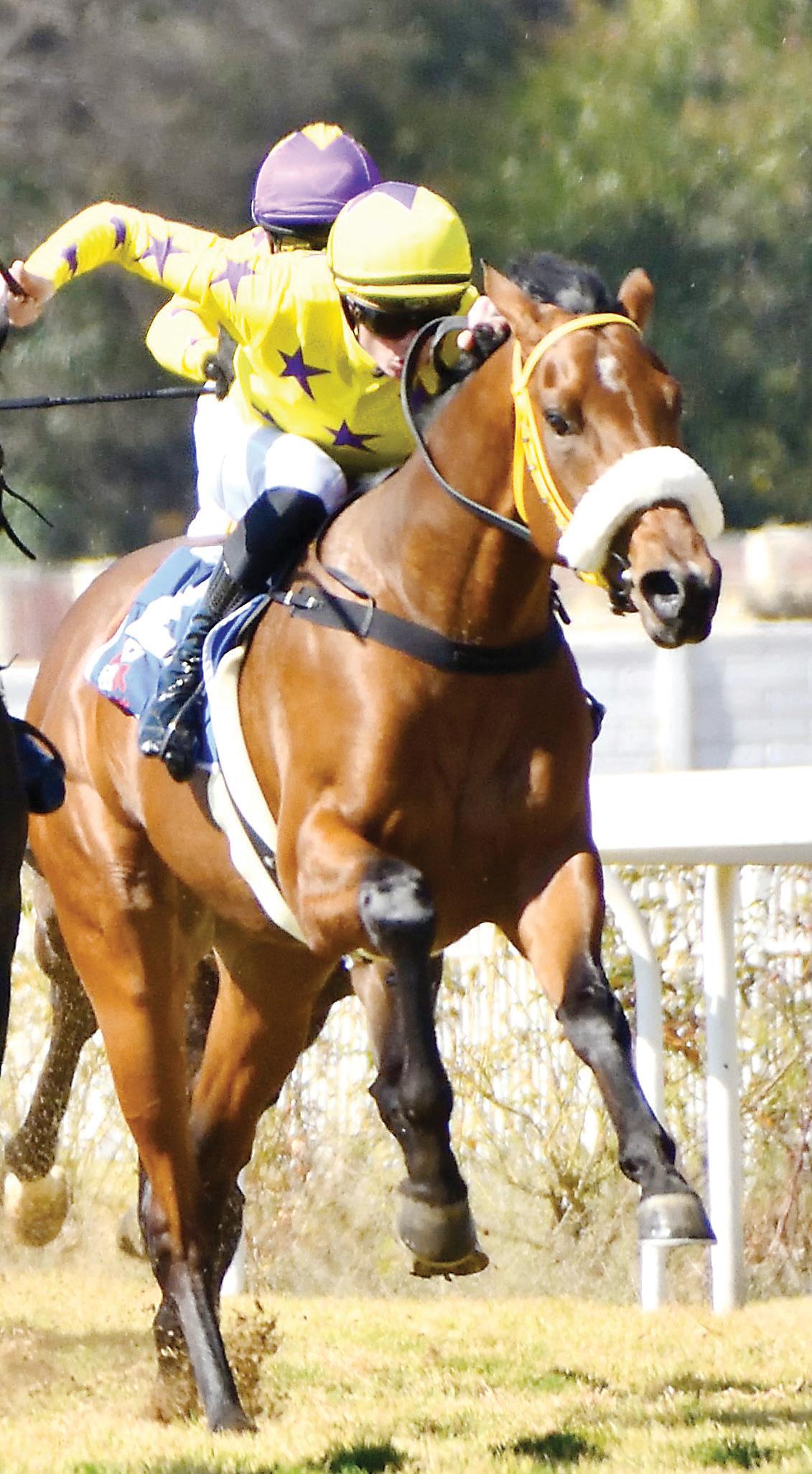 Trevor Too Clever For Rivals