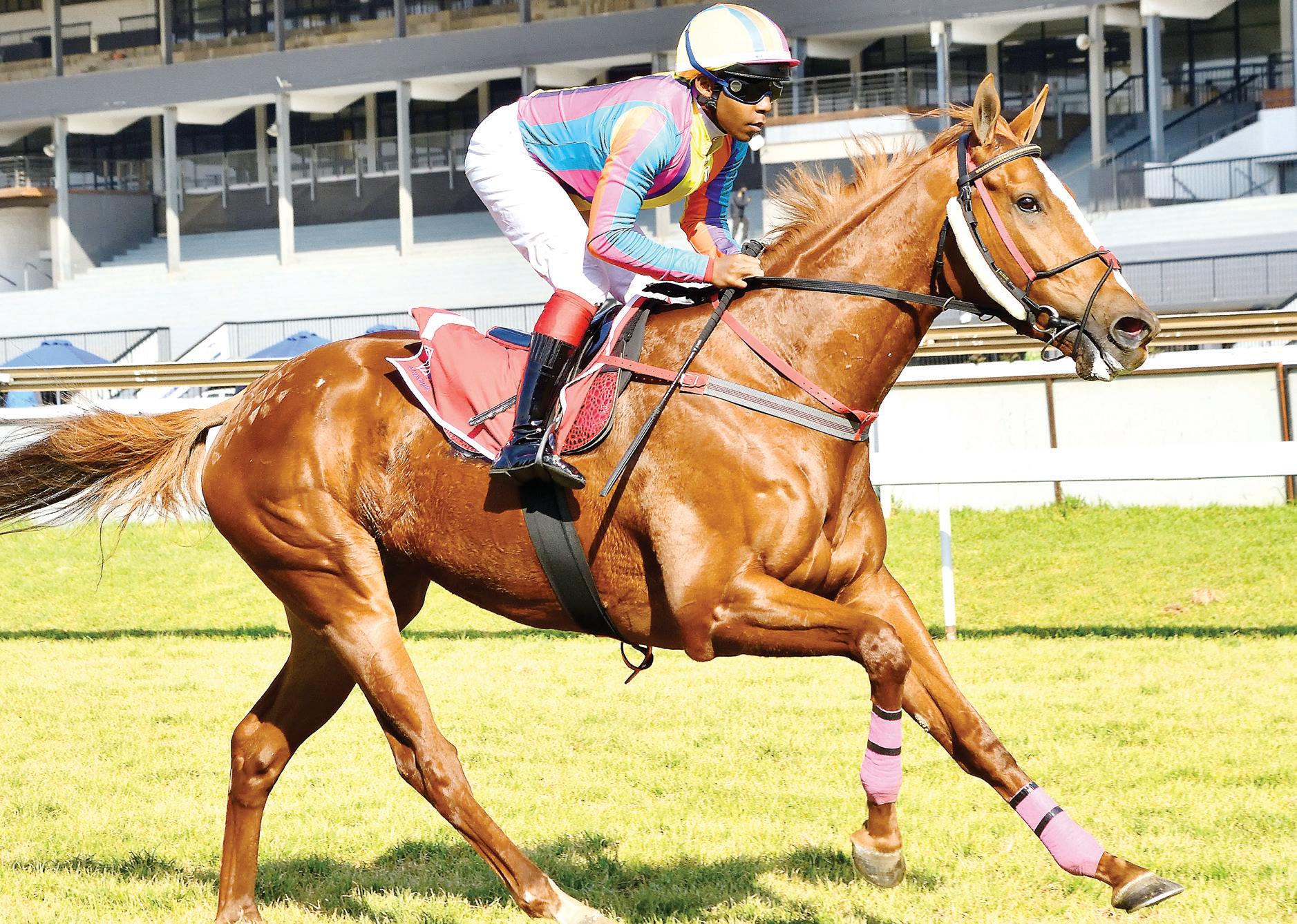Fillies to lead the way in honour of Women's Day