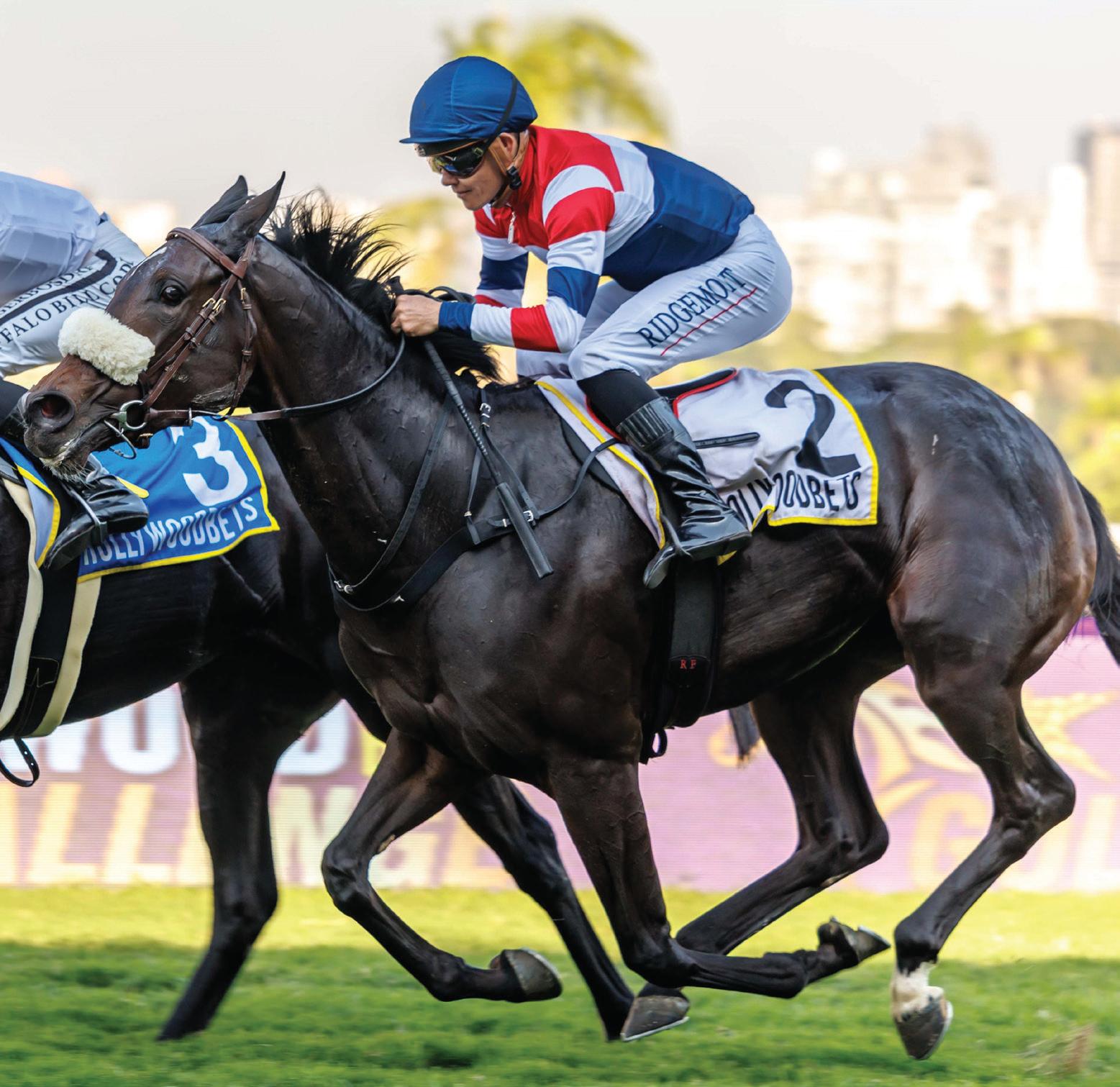 Standout bets at Turffontein