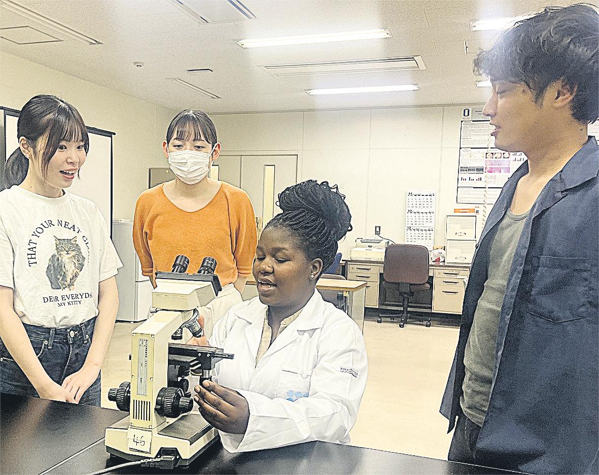 Brew bush tea for heart