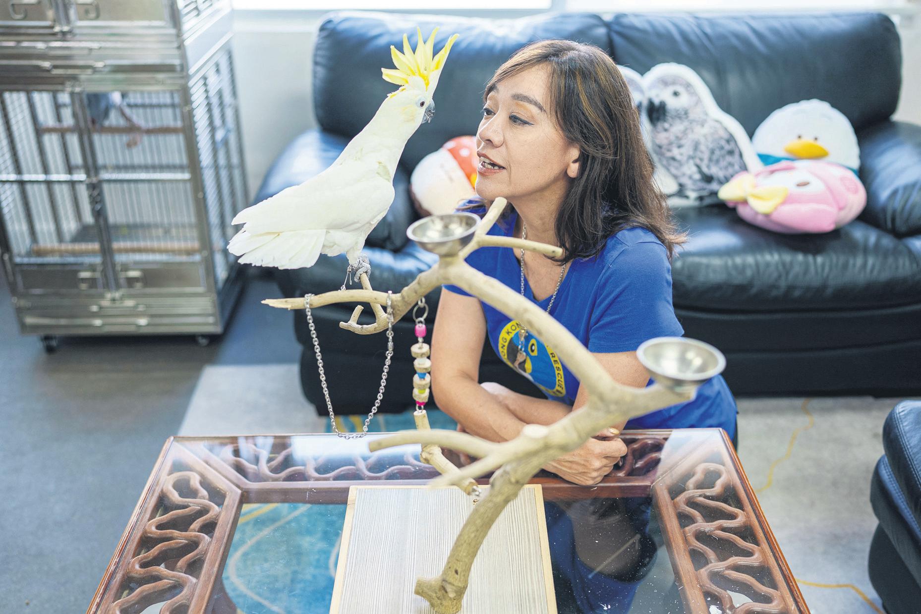 Saving species in Hong Kong