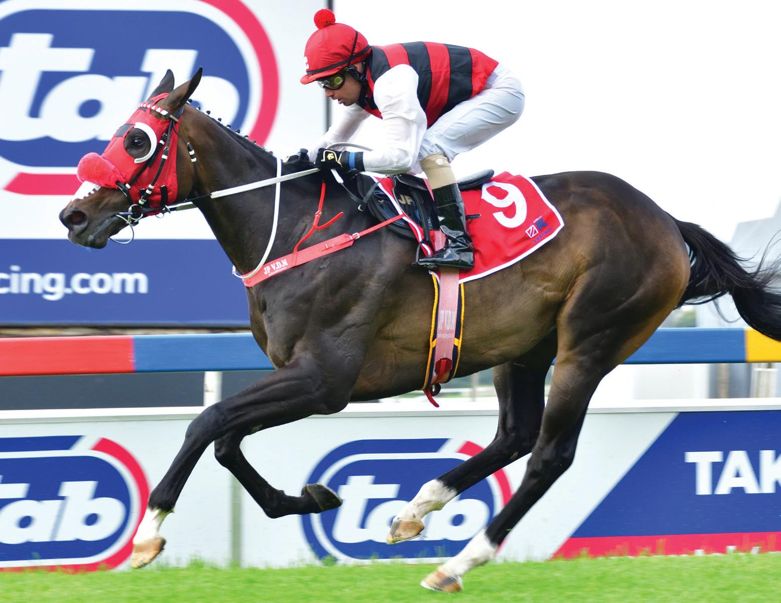 Looks a breeze for Cosmic Star