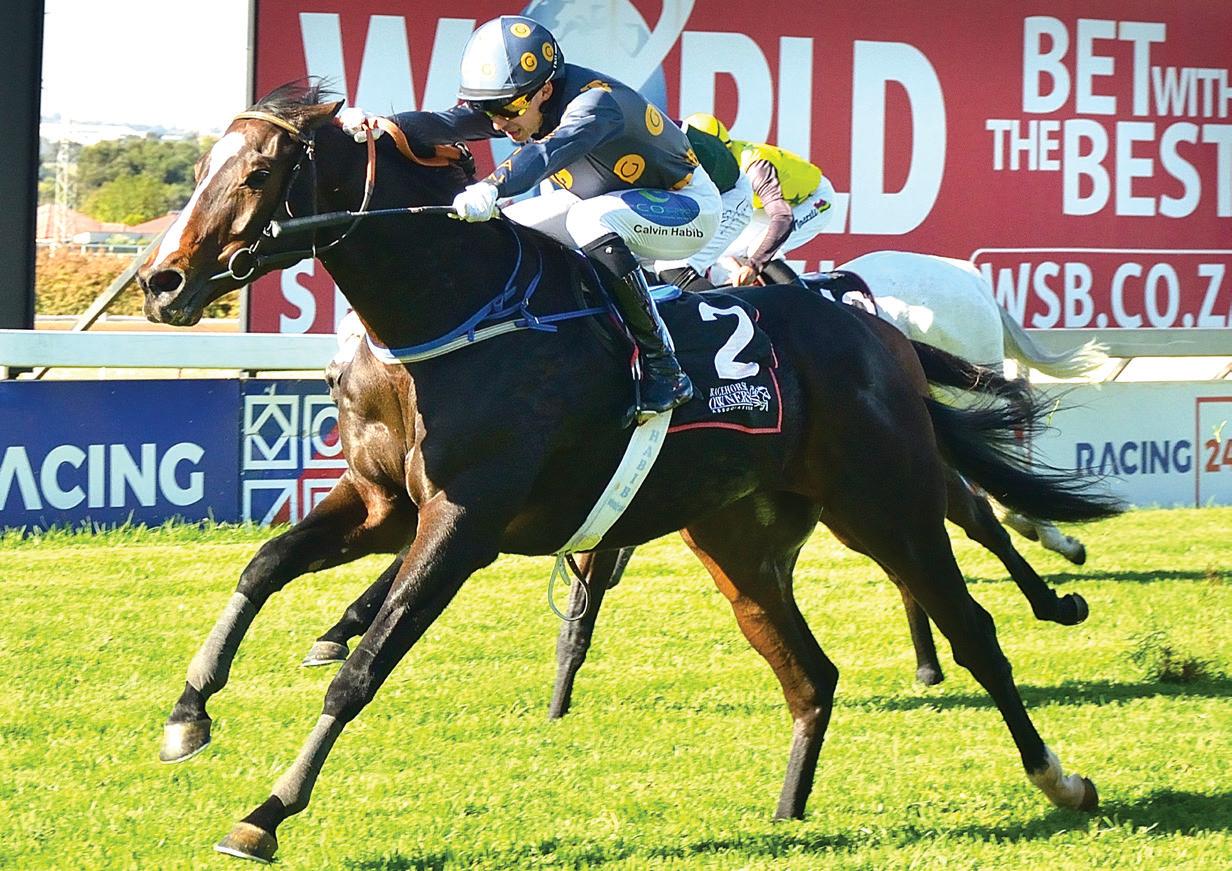 Pinnacle Steal for Money Heist