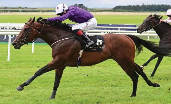 Arizona to blaze Nunthorpe Trail