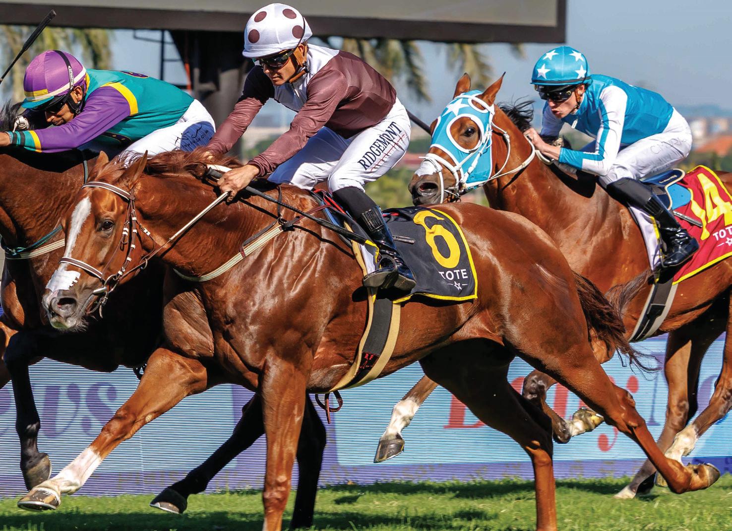 Xenophon to follow up