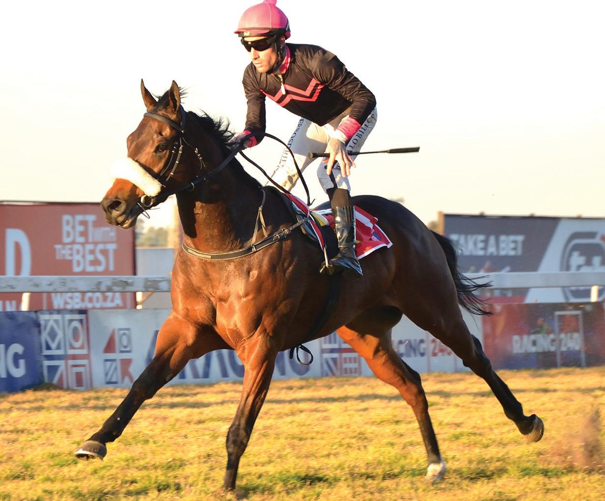 Take good aim at Lucky's charge