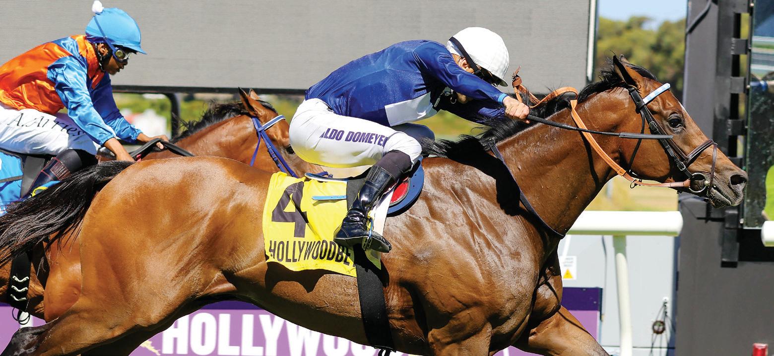 Dreamworld ready to win again