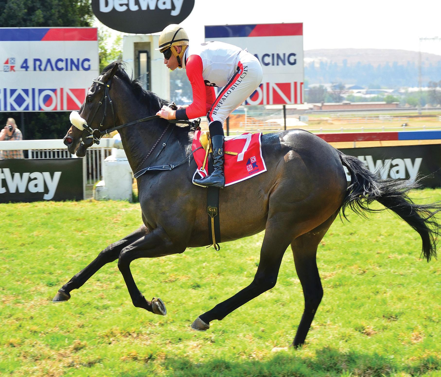 Find happiness at Vaal