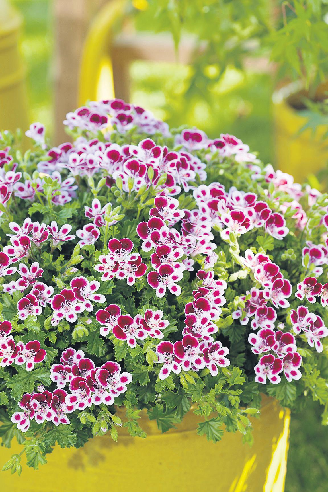 Spring into summer action