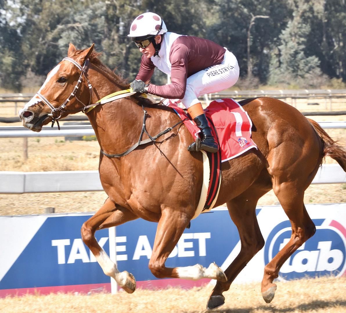 Xenophon to win again