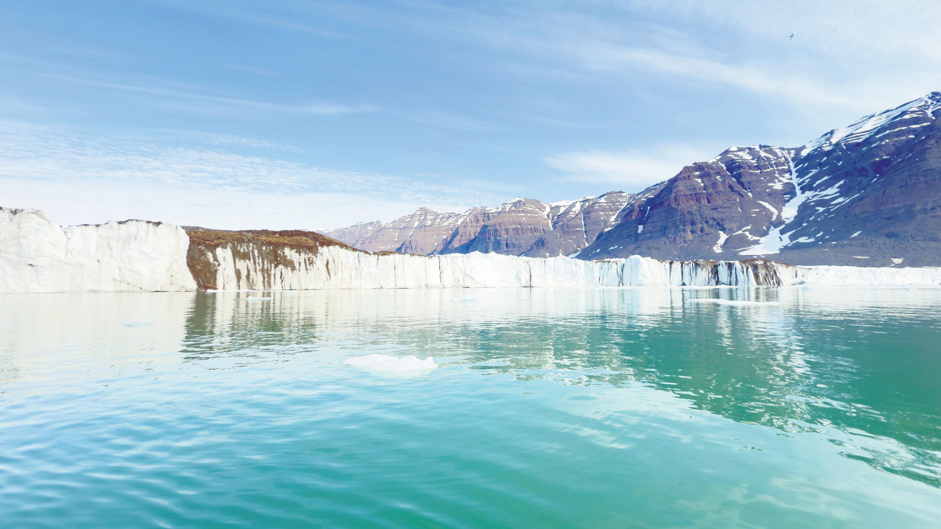 French flair in the frozen wild