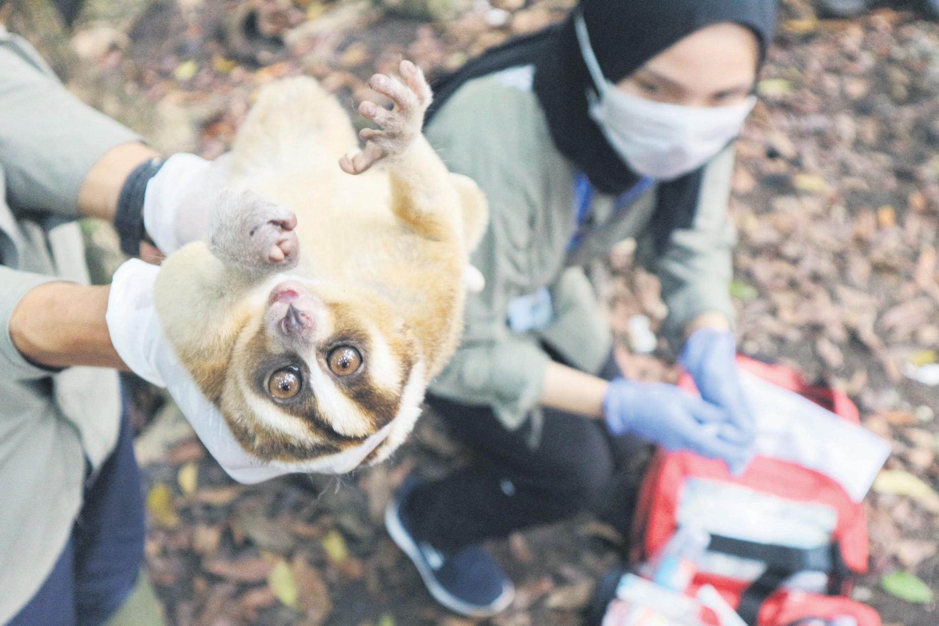 Working to protect nature