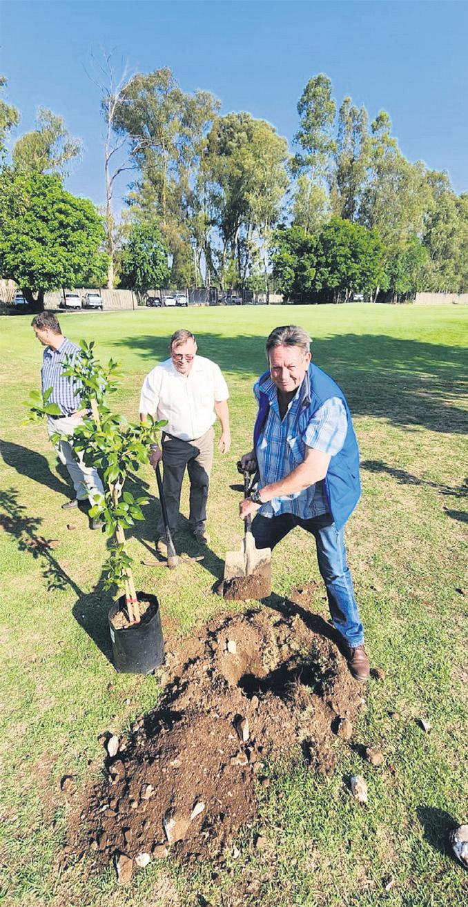 Tshwane residents urged to replenish indigenous trees