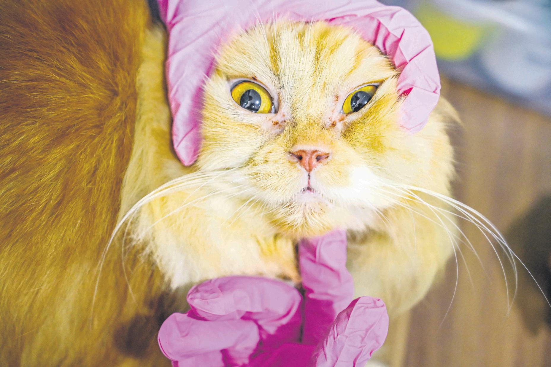 Moya brags about successes