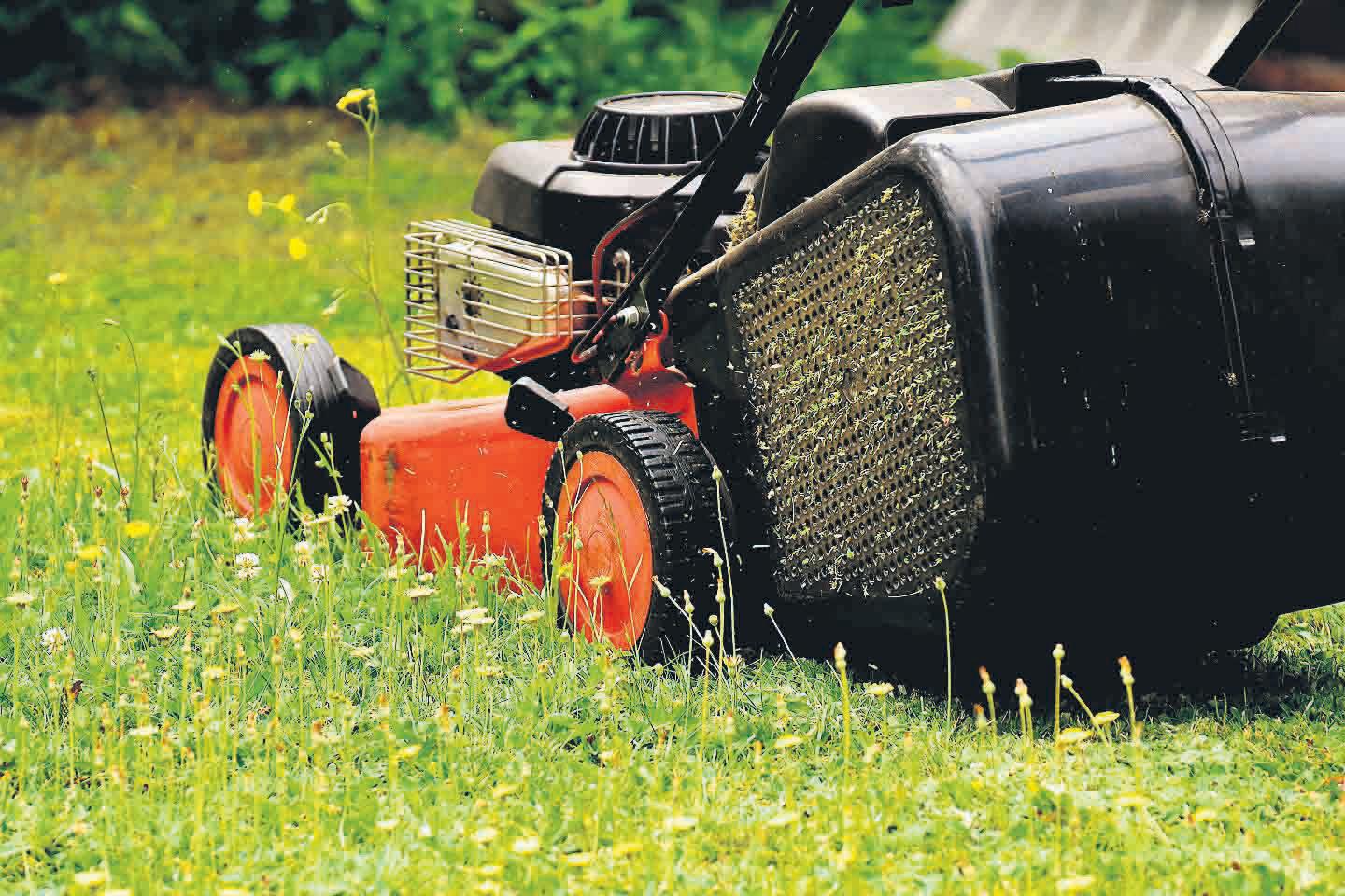 Solutions for problem lawns