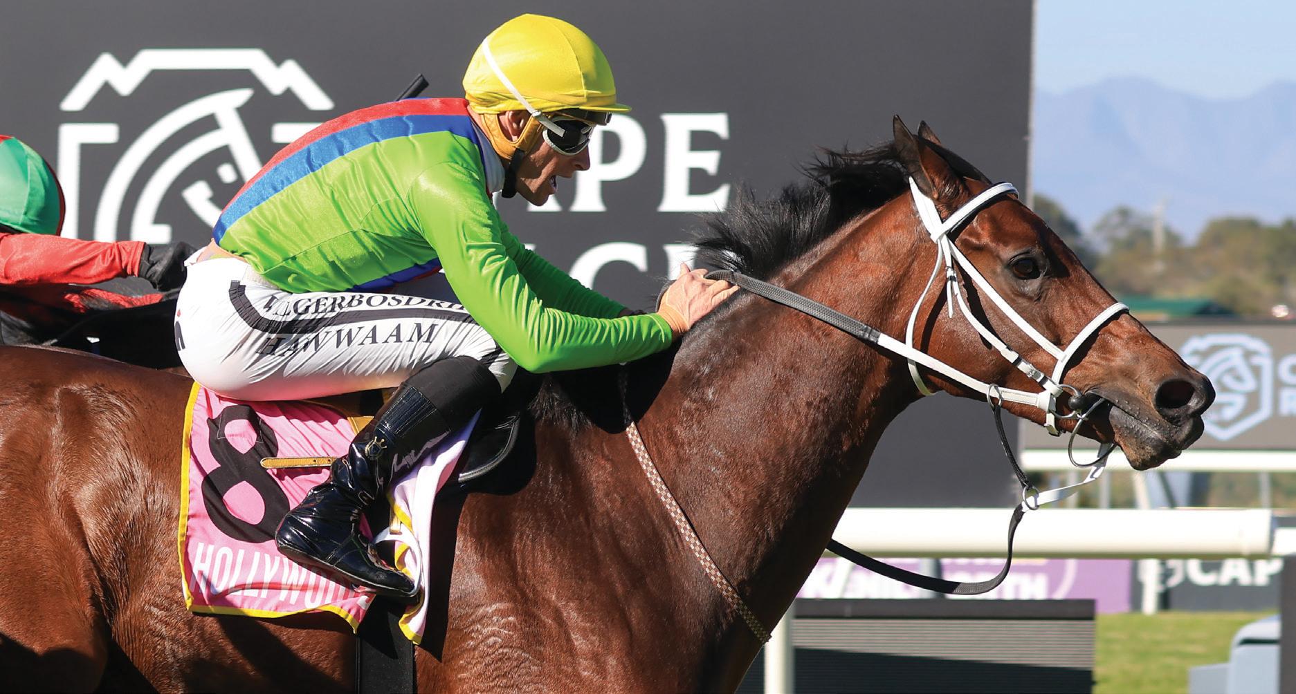 Time For Love the ‘Wyze' choice