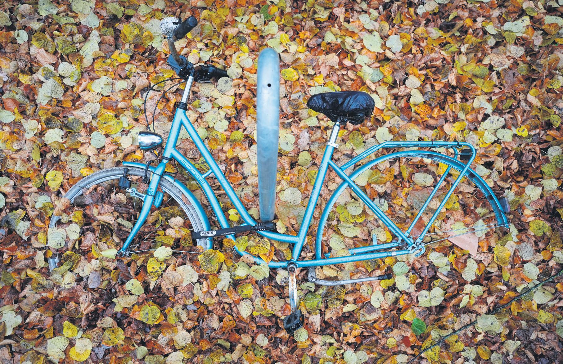 We failed: Louvre boss