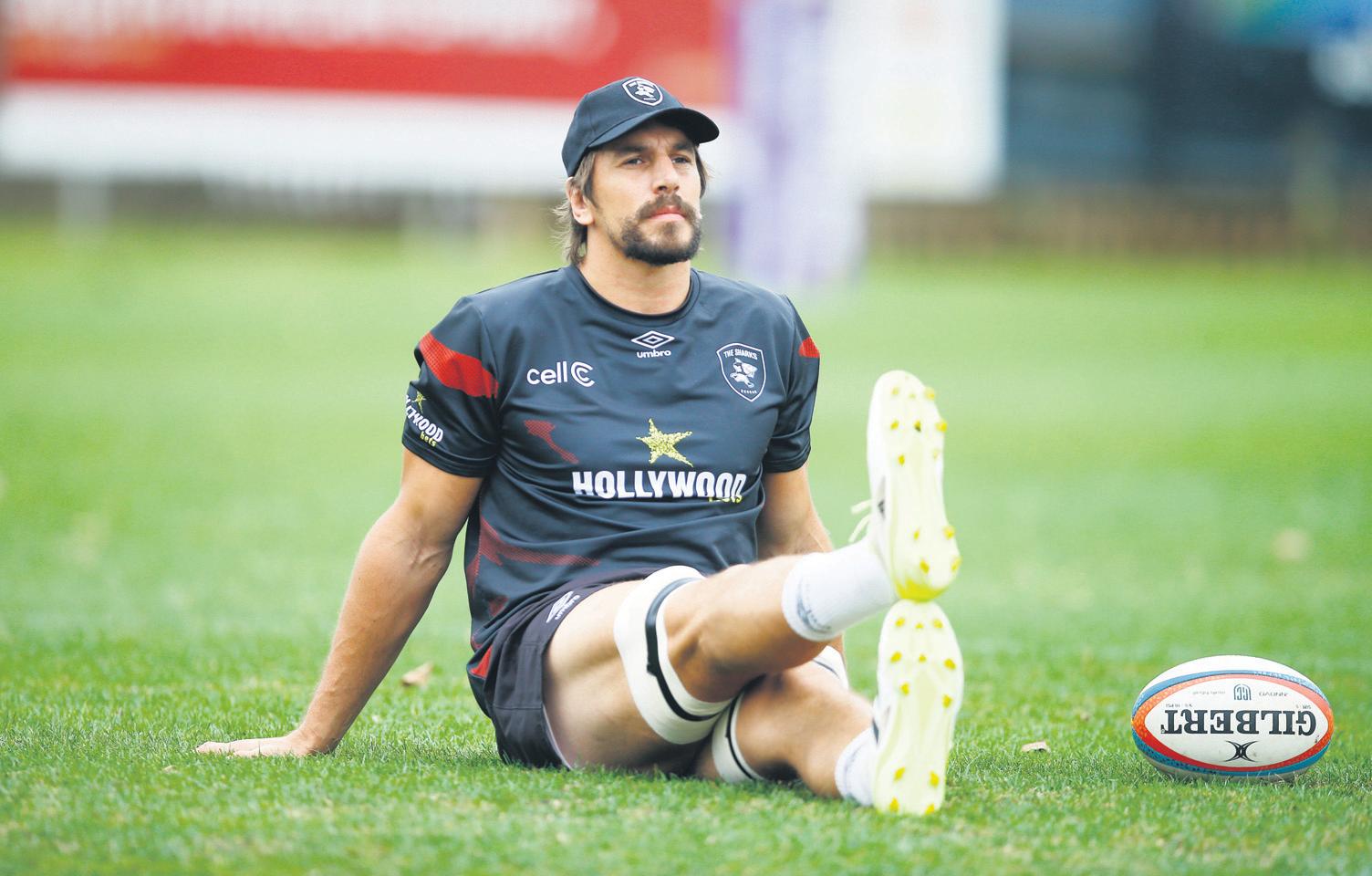Under-fire Plumtree banks on his Springboks again
