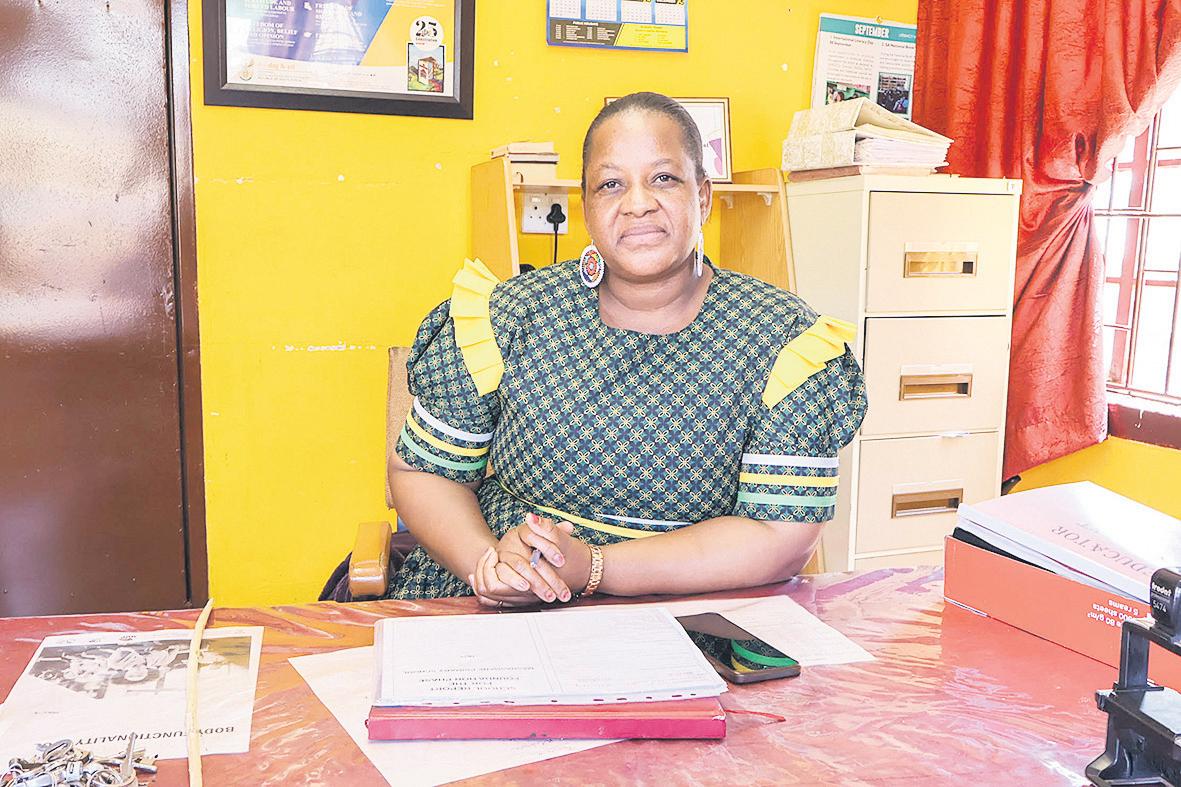 Schools 'need real toilets'