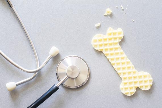 Osteoporosis: prevention is far better than cure