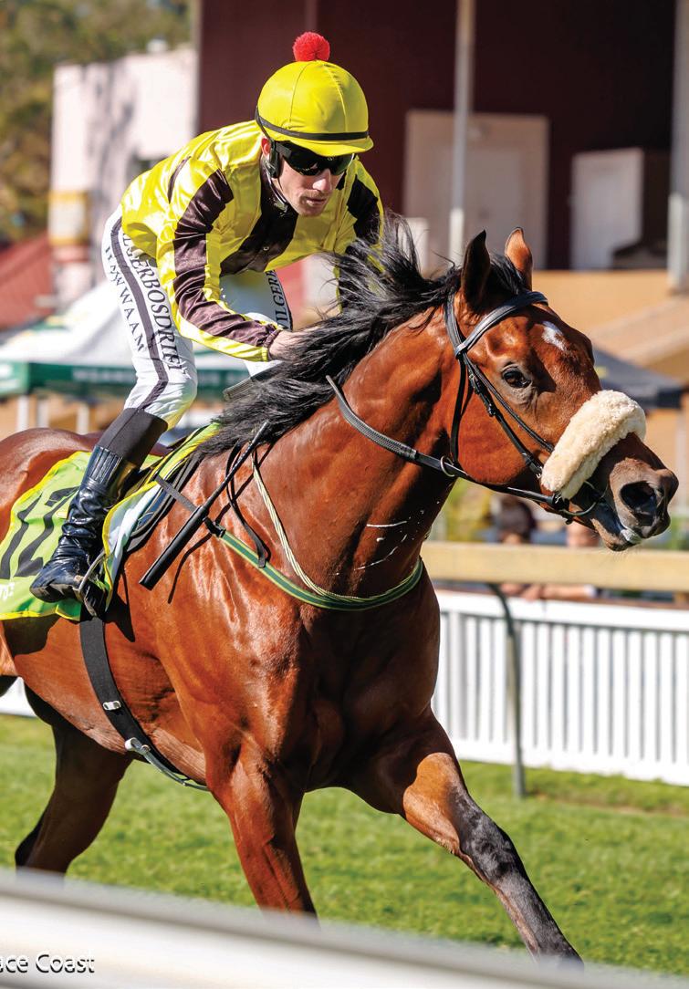 Zackey to rule in Guineas prep