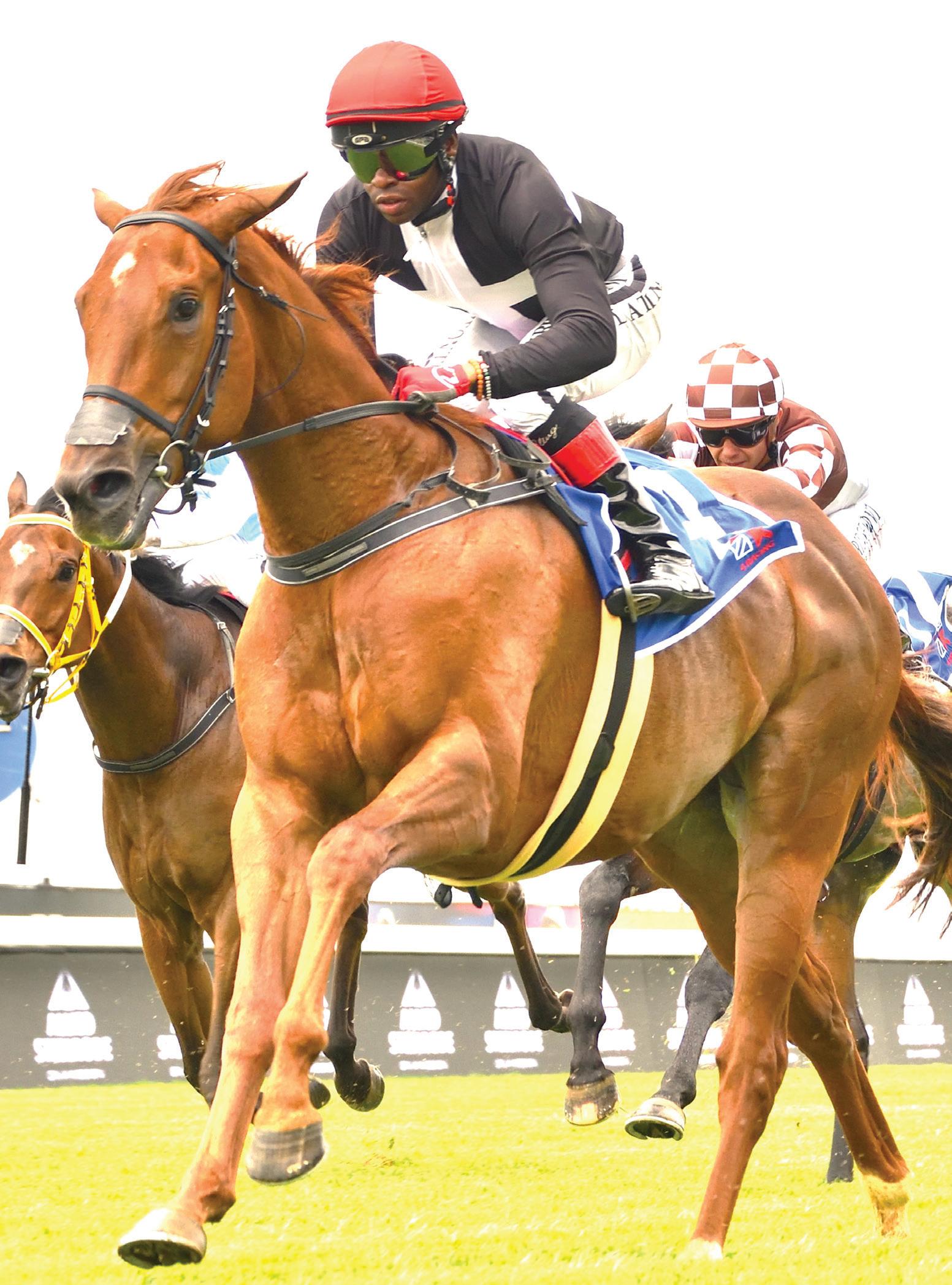 Summer Cup draw a real delight