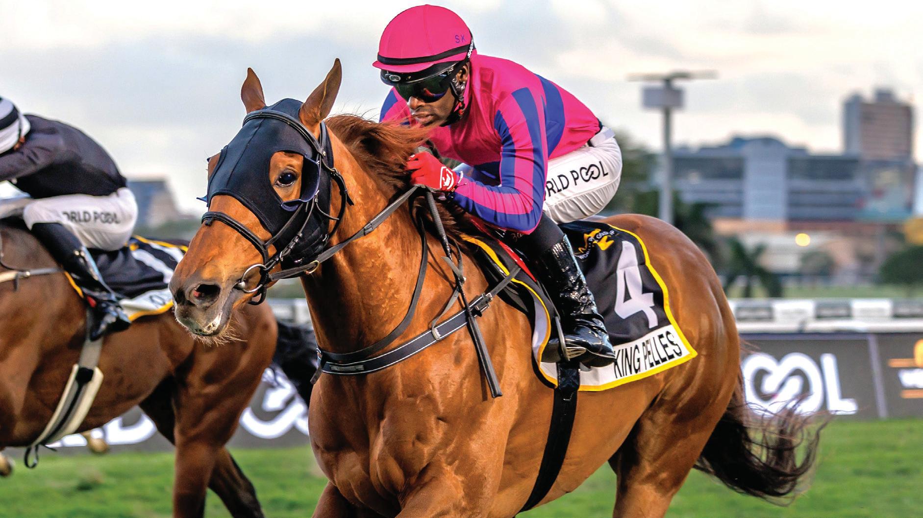 Loads of betting opportunities