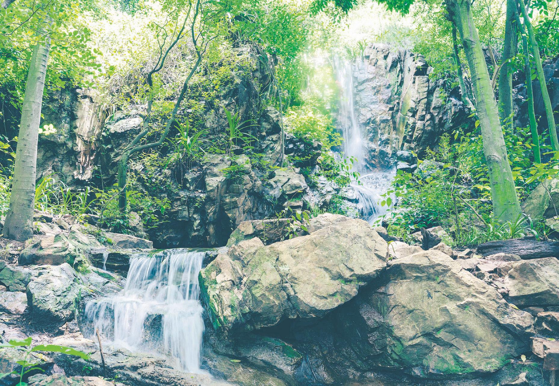 The Wilds is back to beauty