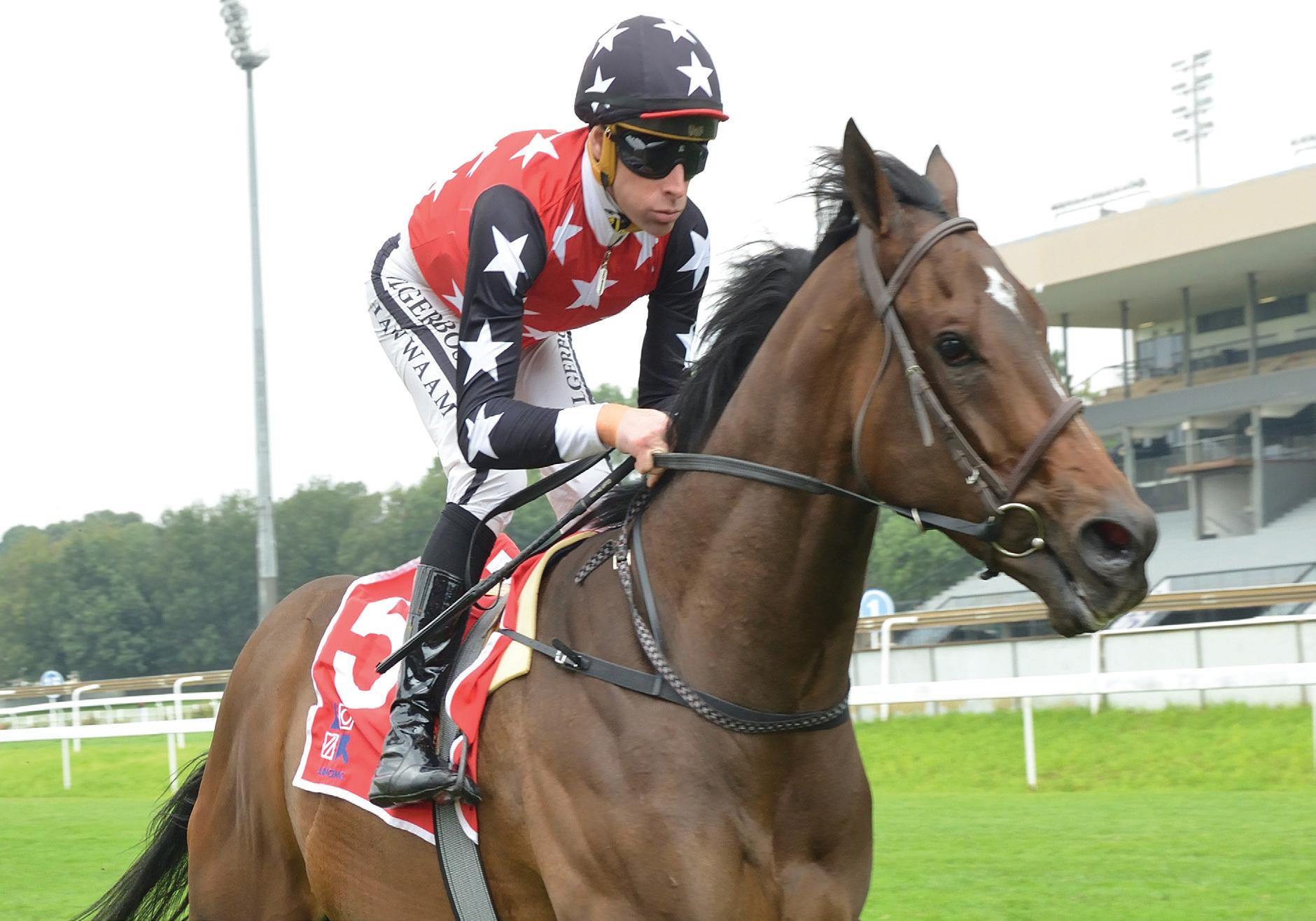 Cody for more storming success