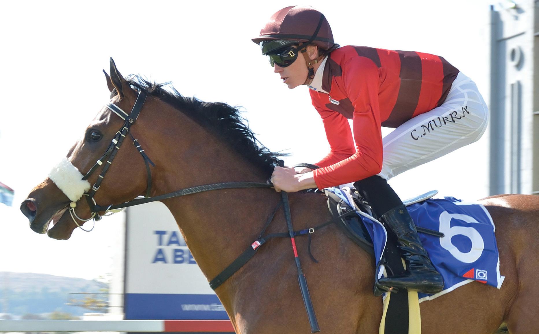 Jan is the Guineas man
