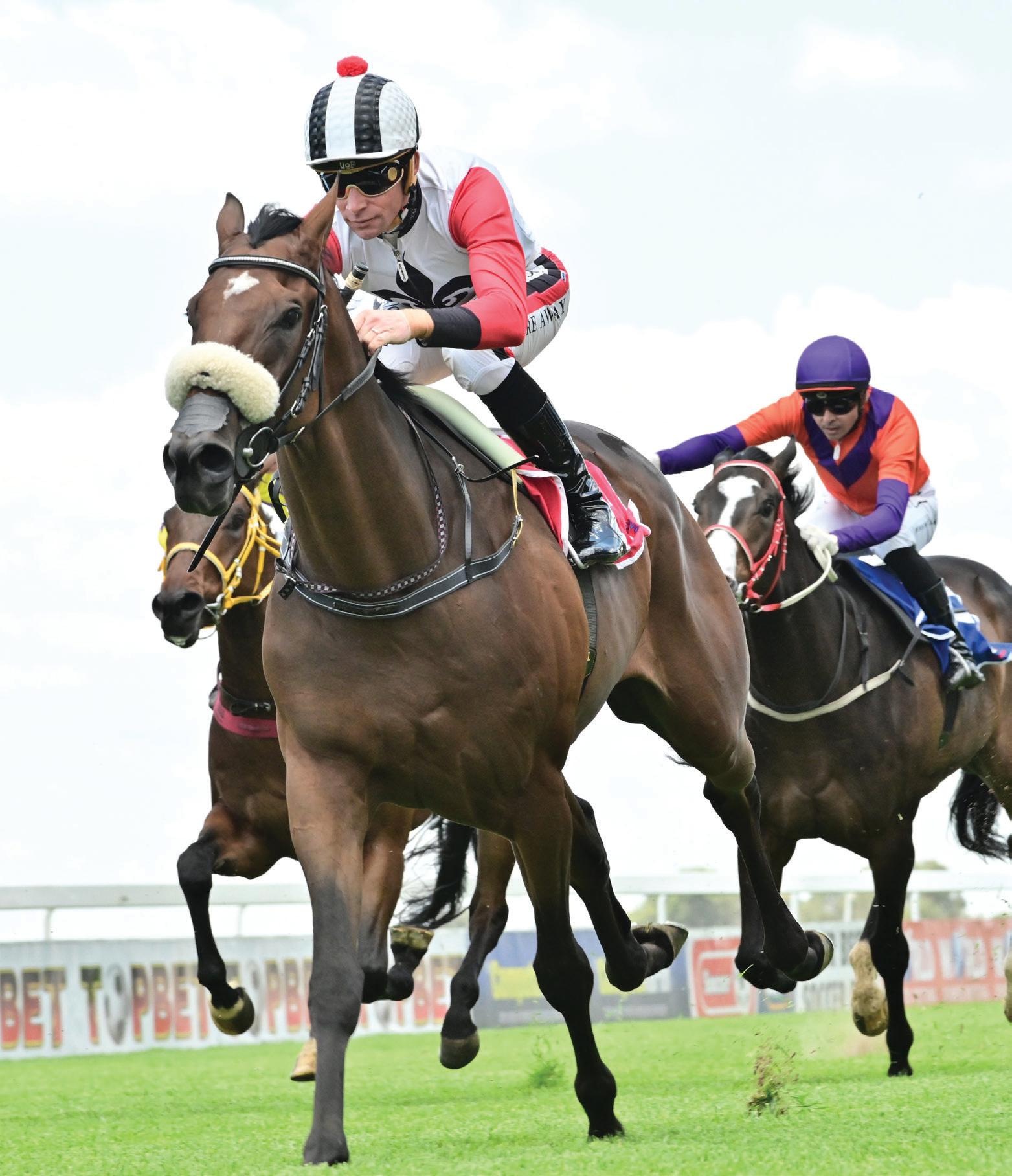 Lovable stands out on Saturday
