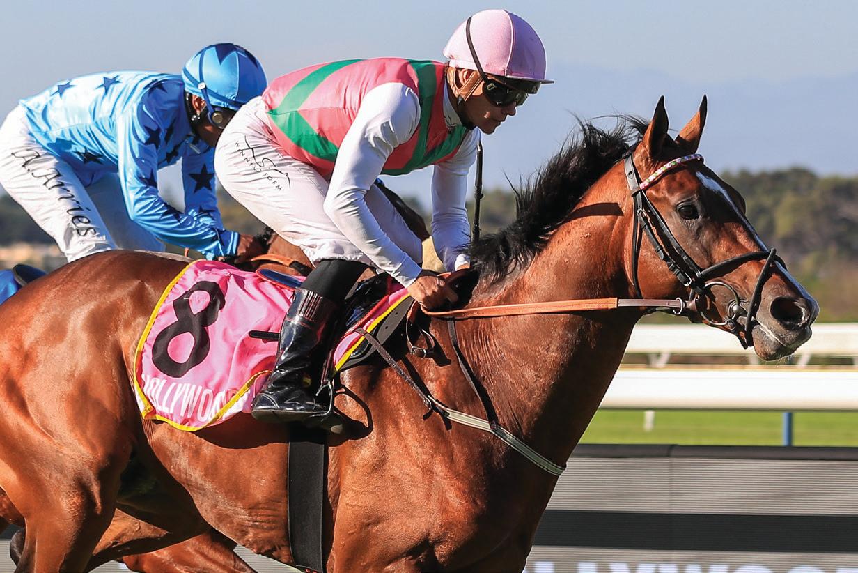 Brilliant King's Plate field