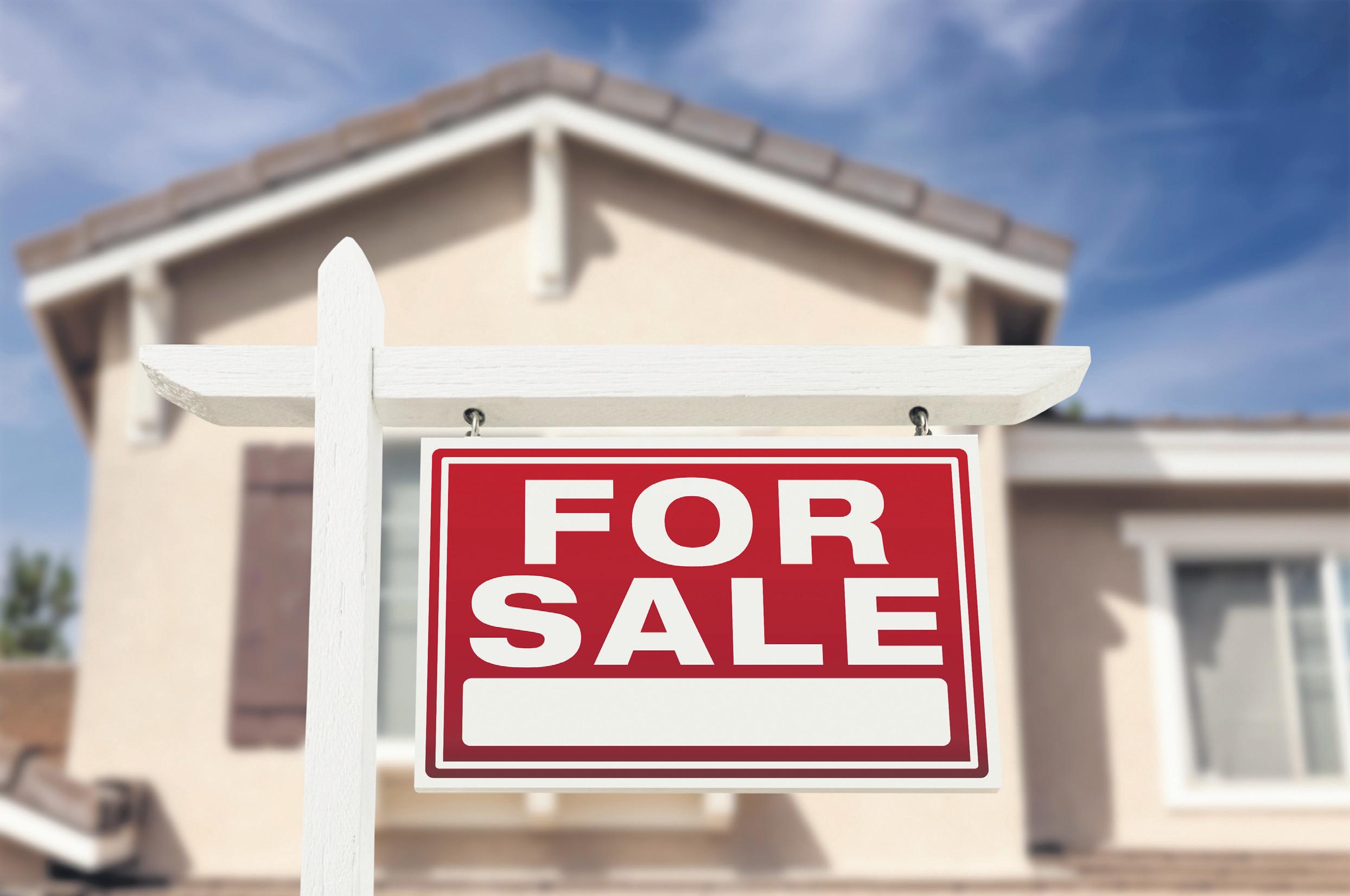 Beware estate agent sharks