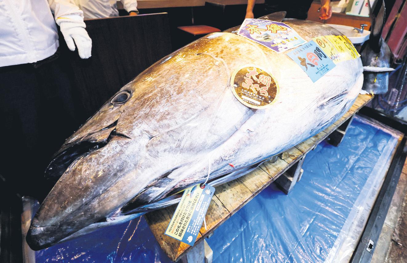 'Tuna King' forks out R52.5m