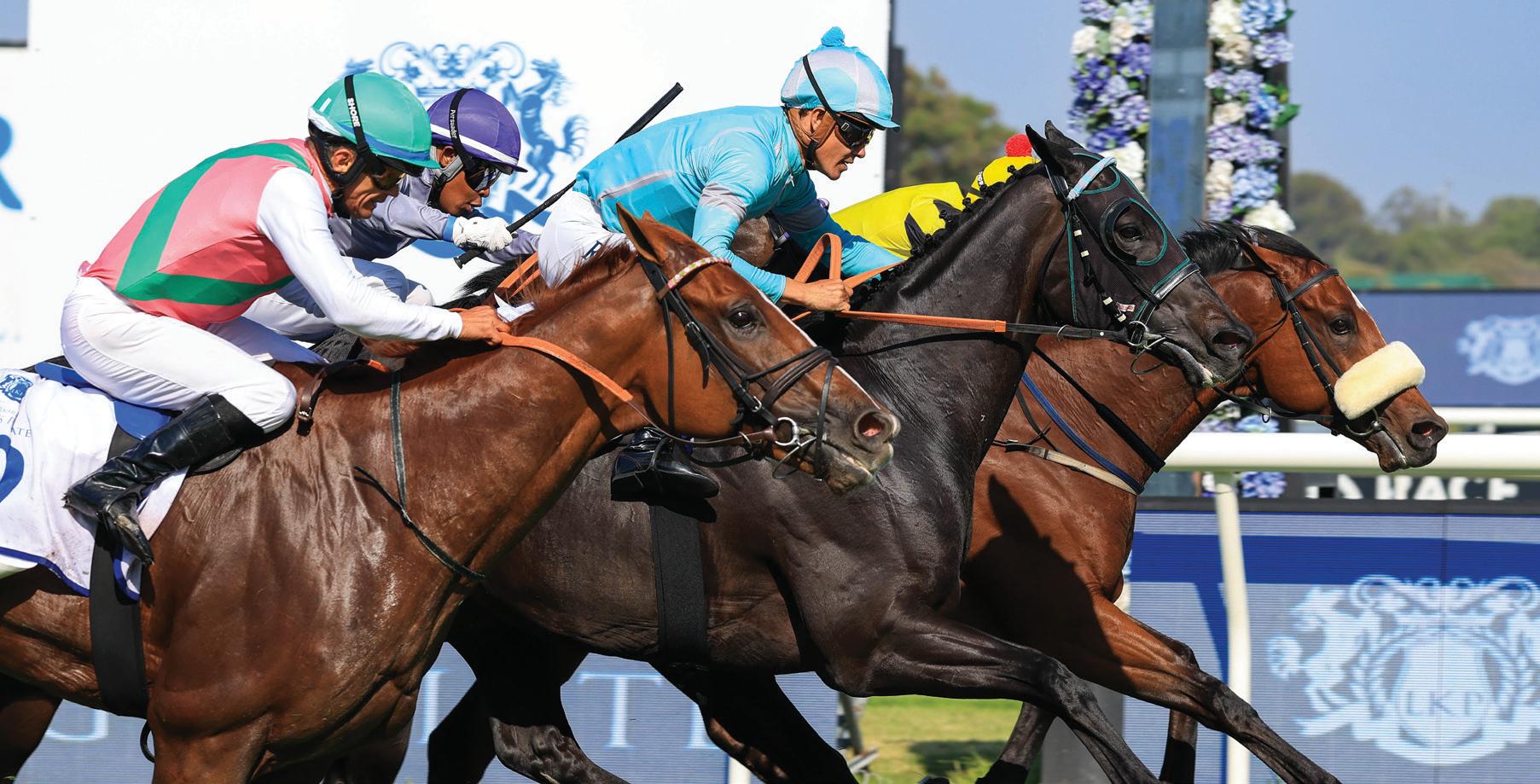 King's Plate race day lives up to the hype