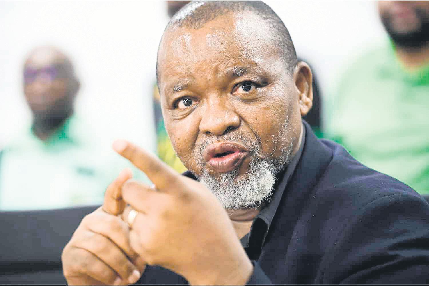 Zama zamas have struck gold in SA