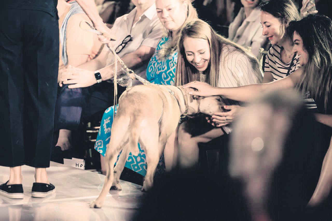 Hill's & Tears Re-Loved Fashion Show raises R250 000 for rescue