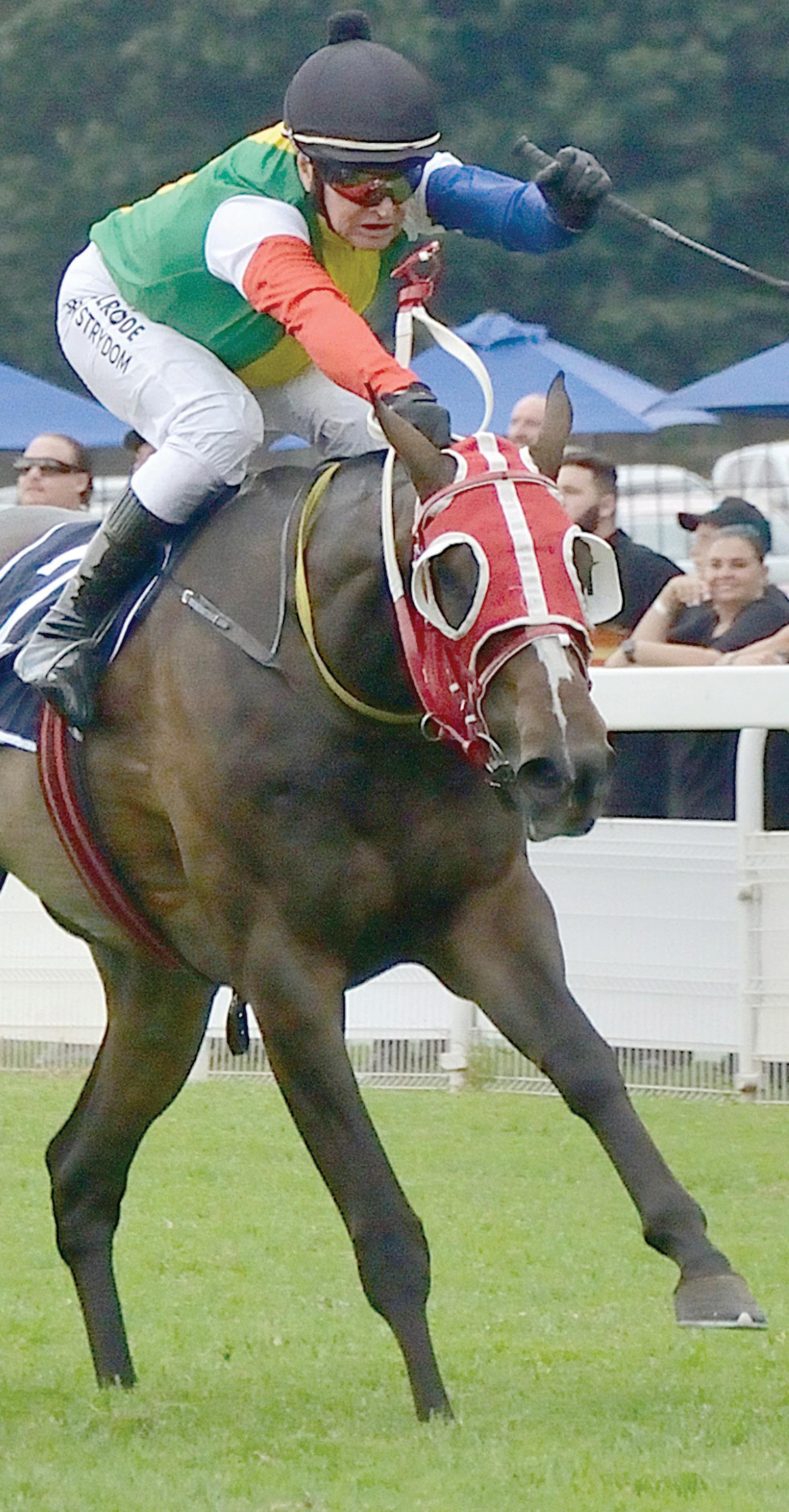 Ready for a Fine Winter