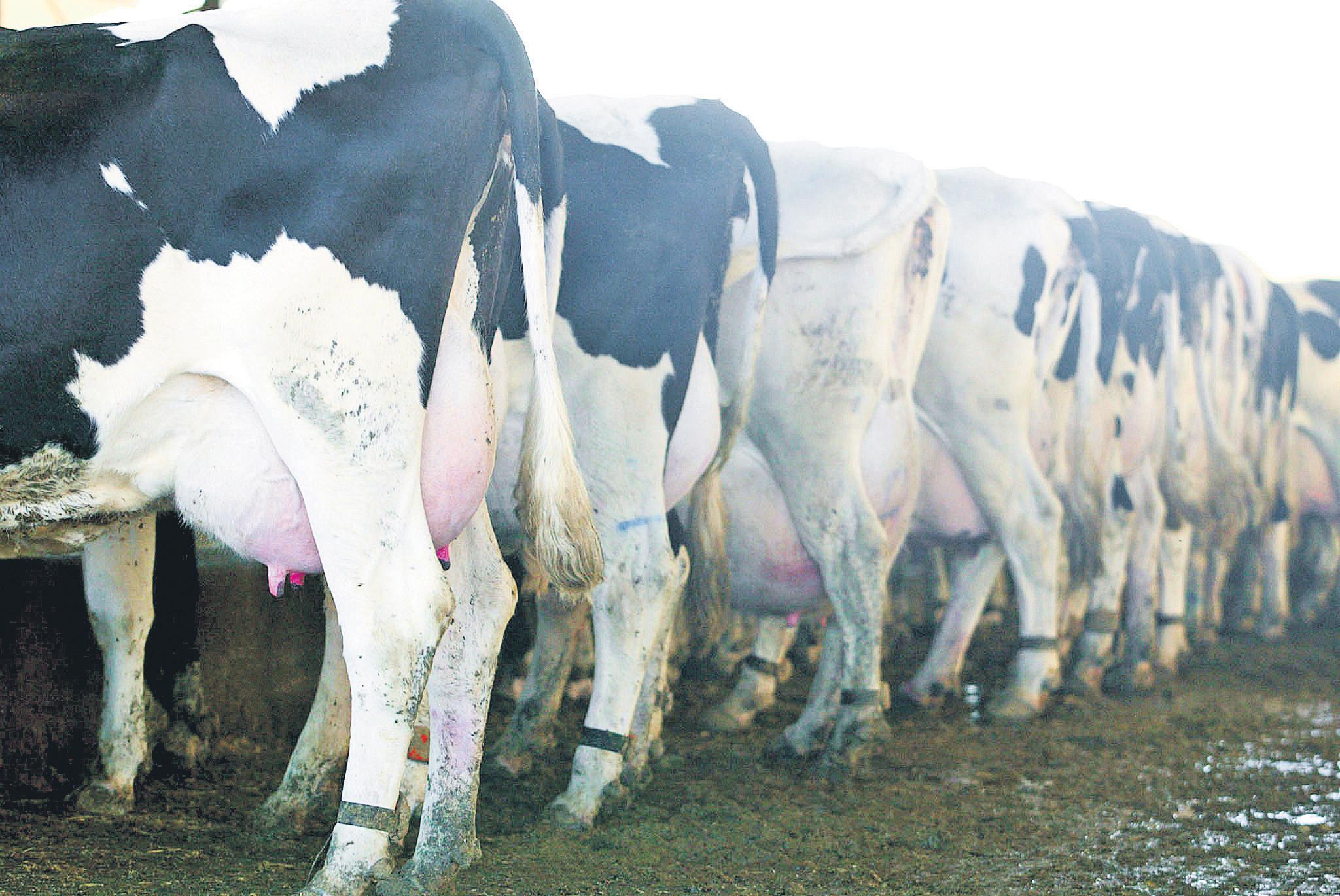 Farmers at breaking point