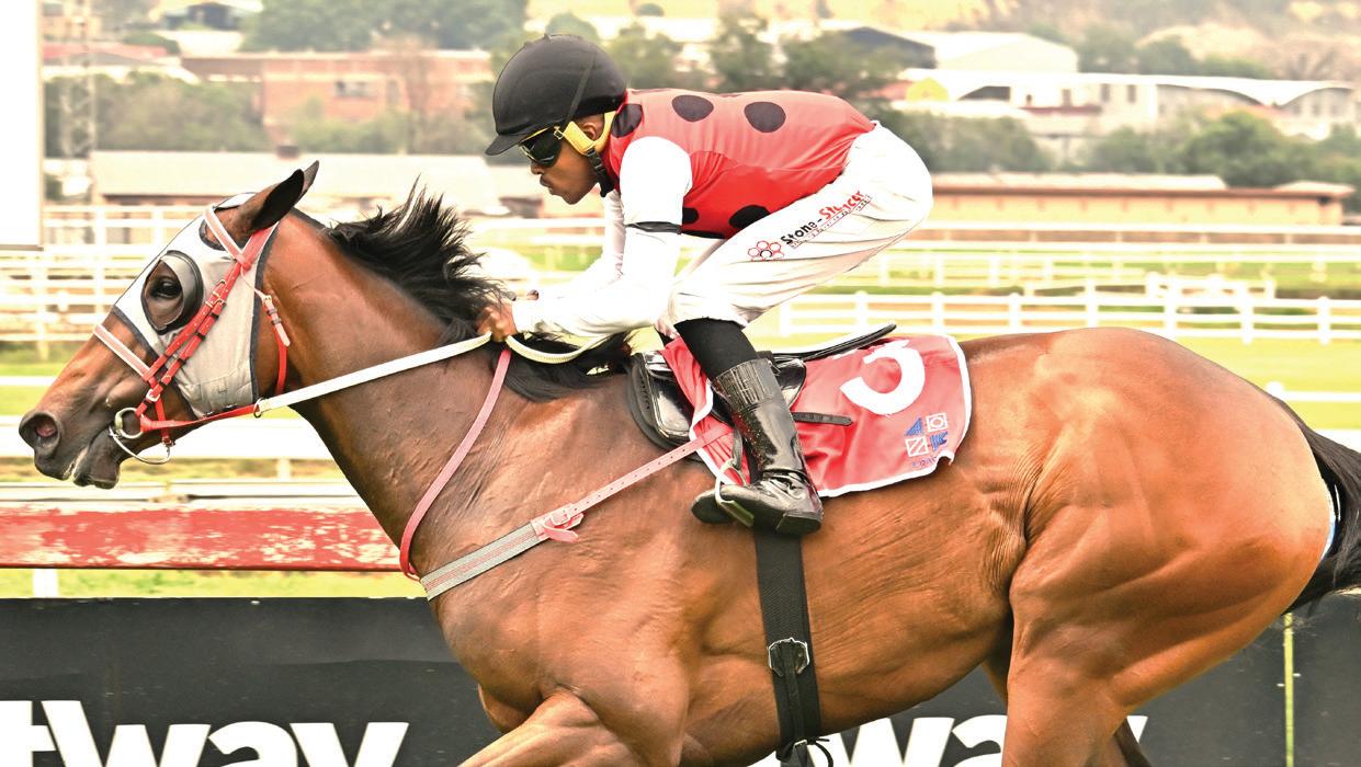 Fillies dominate 3yo features