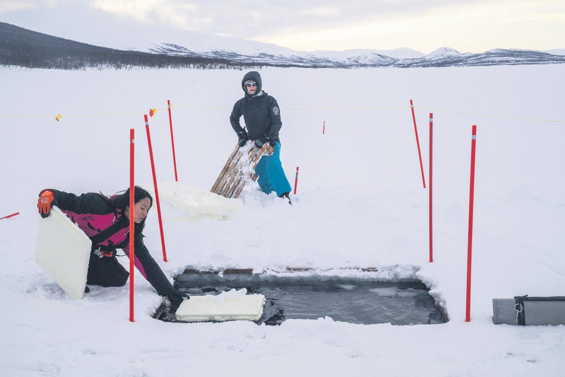 Divers prepare for polar waters