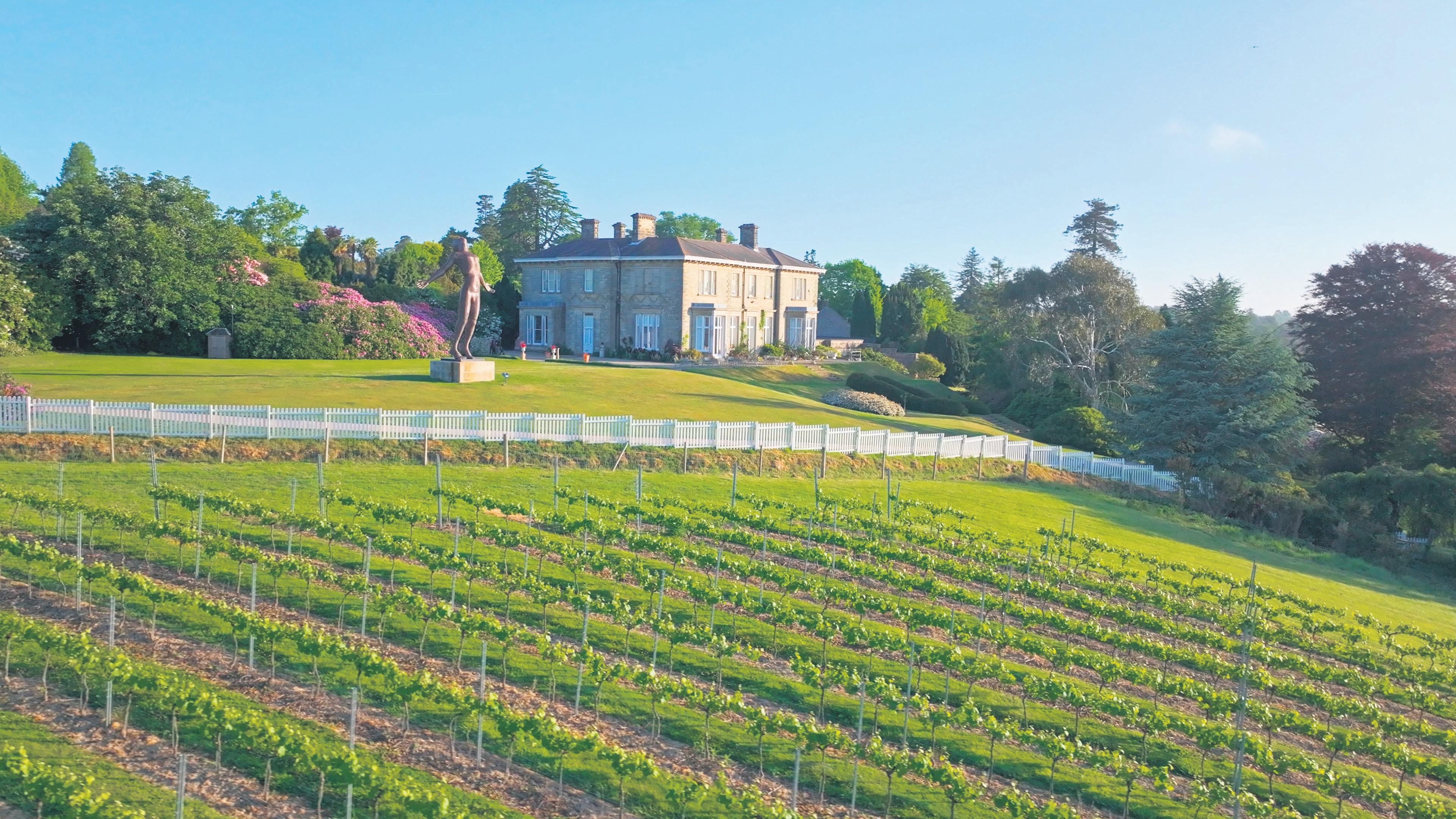Savouring fruits of the vine with SA flavour