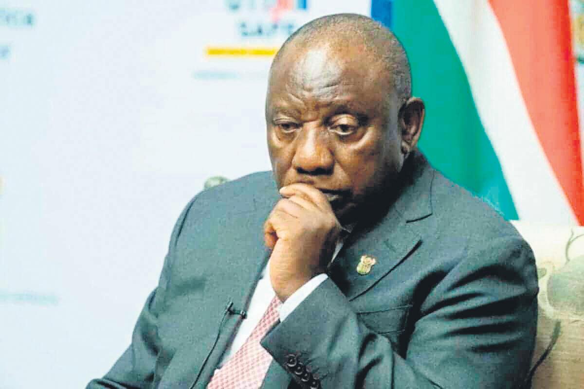 Jellyfish president allows havoc