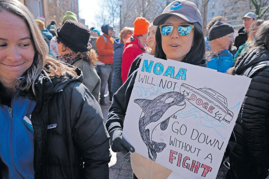 Regulatory freeze throws fishing industry into chaos