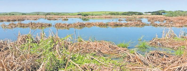 How private landowners help to conserve our wetlands