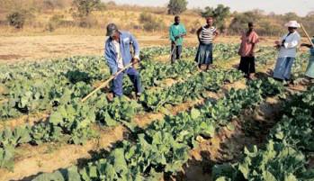 Agbiz warns of alarming rise in food insecurity despite agricultural export success