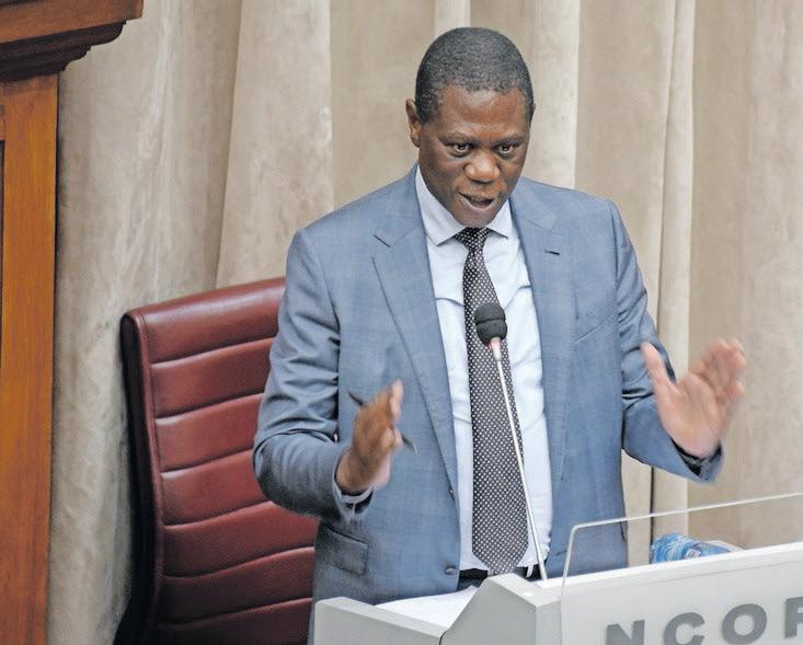 Mashatile says Expropriation Act to be used to fast-track land reform