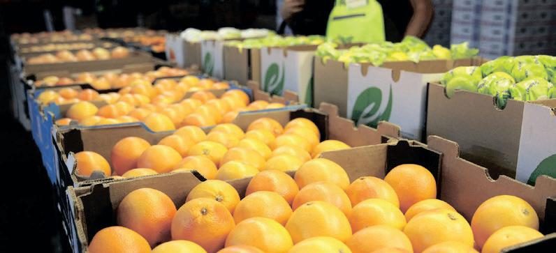 SA farmers brace for impact of US tariffs
