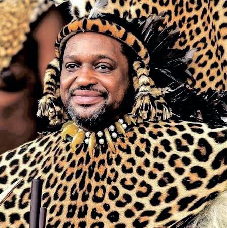 Supreme Court of Appeal to hear Zulu kingship appeal next month